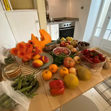 Jscasa Rainha Centro Semesterbostad Caldas Da Rainha